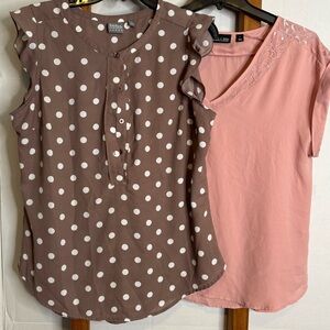New York & Company Brown Polka Dot and Pink Blouse Set